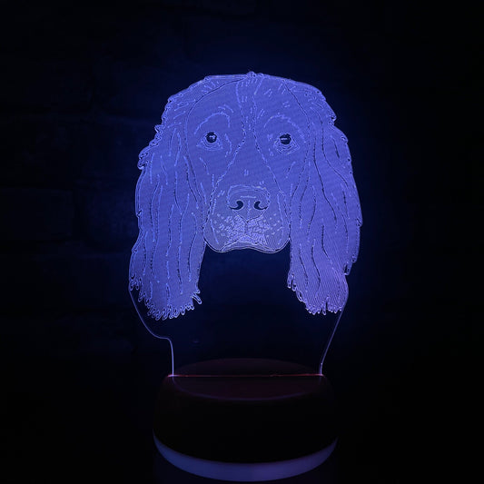 Personalised Springer Spaniel LED Lamp Night Light Night Light Stock Car & Banger Toy Tracks