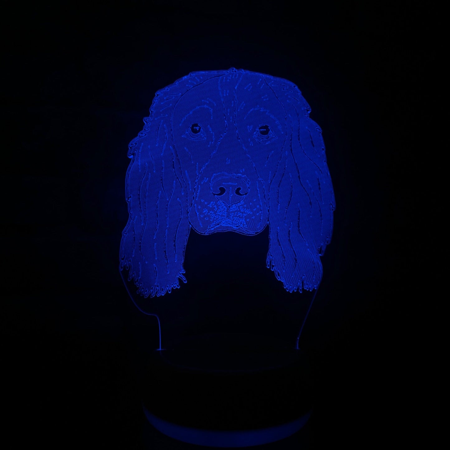 Personalised Springer Spaniel LED Lamp Night Light  Night Light Stock Car & Banger Toy Tracks
