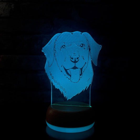 Personalised Labrador LED Lamp Night Light Night Light Stock Car & Banger Toy Tracks
