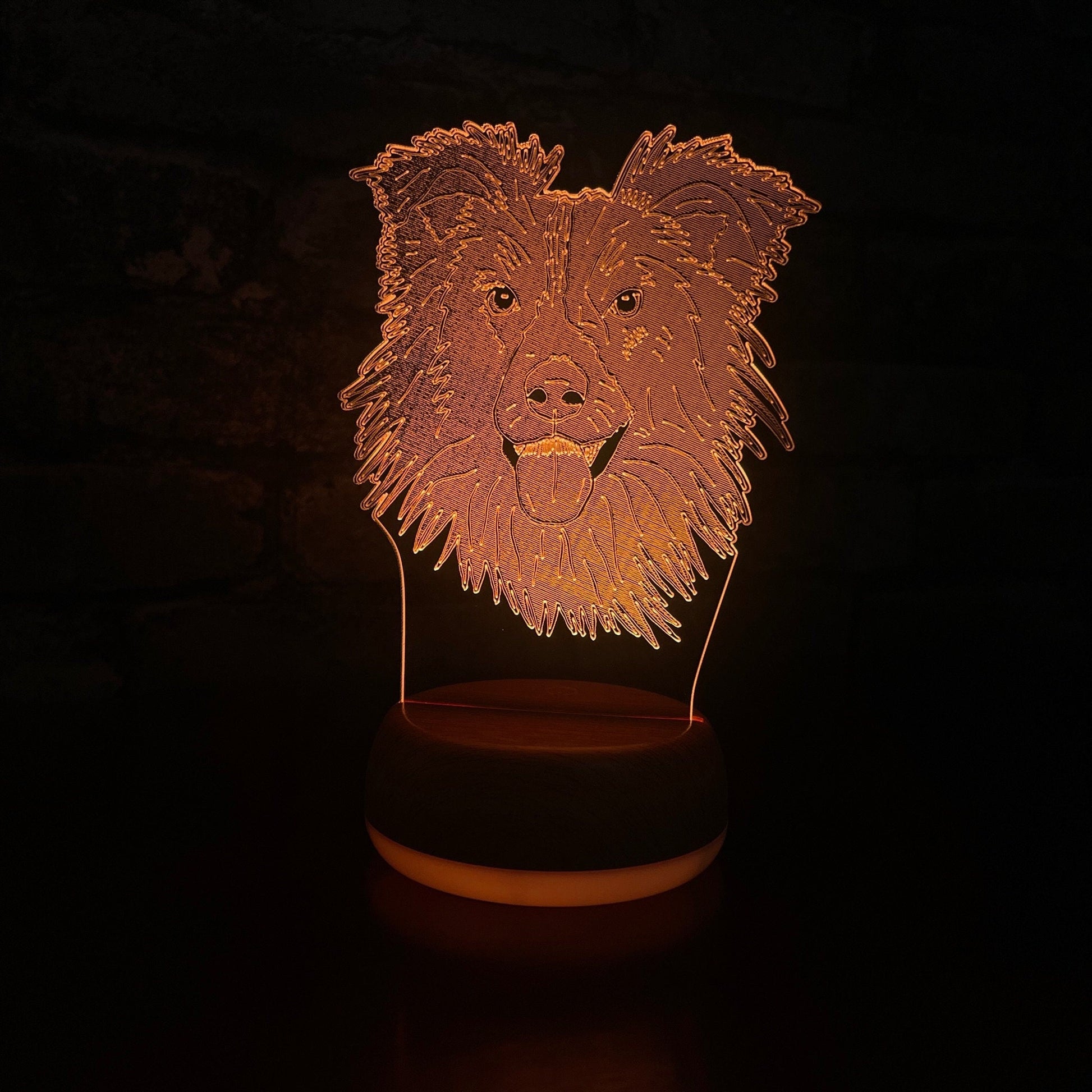 Personalised Border Collie Dog LED Lamp Night LightÂ  Night Light Stock Car & Banger Toy Tracks