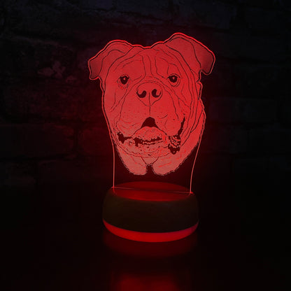 Personalised Bull Dog LED Lamp Night LightÂ  Night Light Stock Car & Banger Toy Tracks