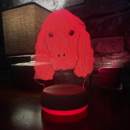 Personalised Cocker Spaniel Dog LED Lamp Night LightÂ  Night Light Stock Car & Banger Toy Tracks