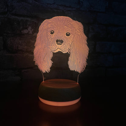 Personalised King Charles Spaniel LED Lamp Night LightÂ  Night Light Stock Car & Banger Toy Tracks