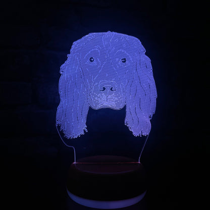 Personalised Springer Spaniel LED Lamp Night LightÂ  Night Light Stock Car & Banger Toy Tracks