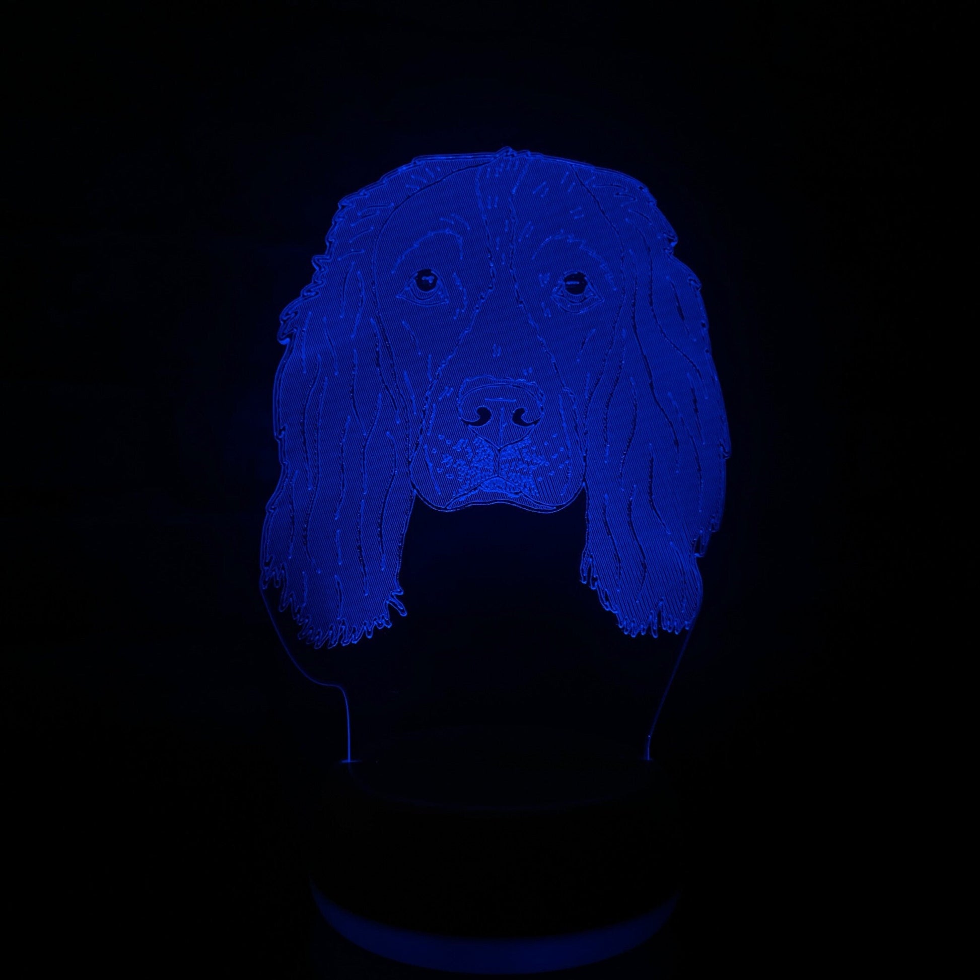 Personalised Springer Spaniel LED Lamp Night LightÂ  Night Light Stock Car & Banger Toy Tracks
