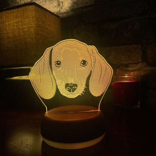 Personalised Dachshund Dog LED Lamp Night LightÂ  Night Light Stock Car & Banger Toy Tracks