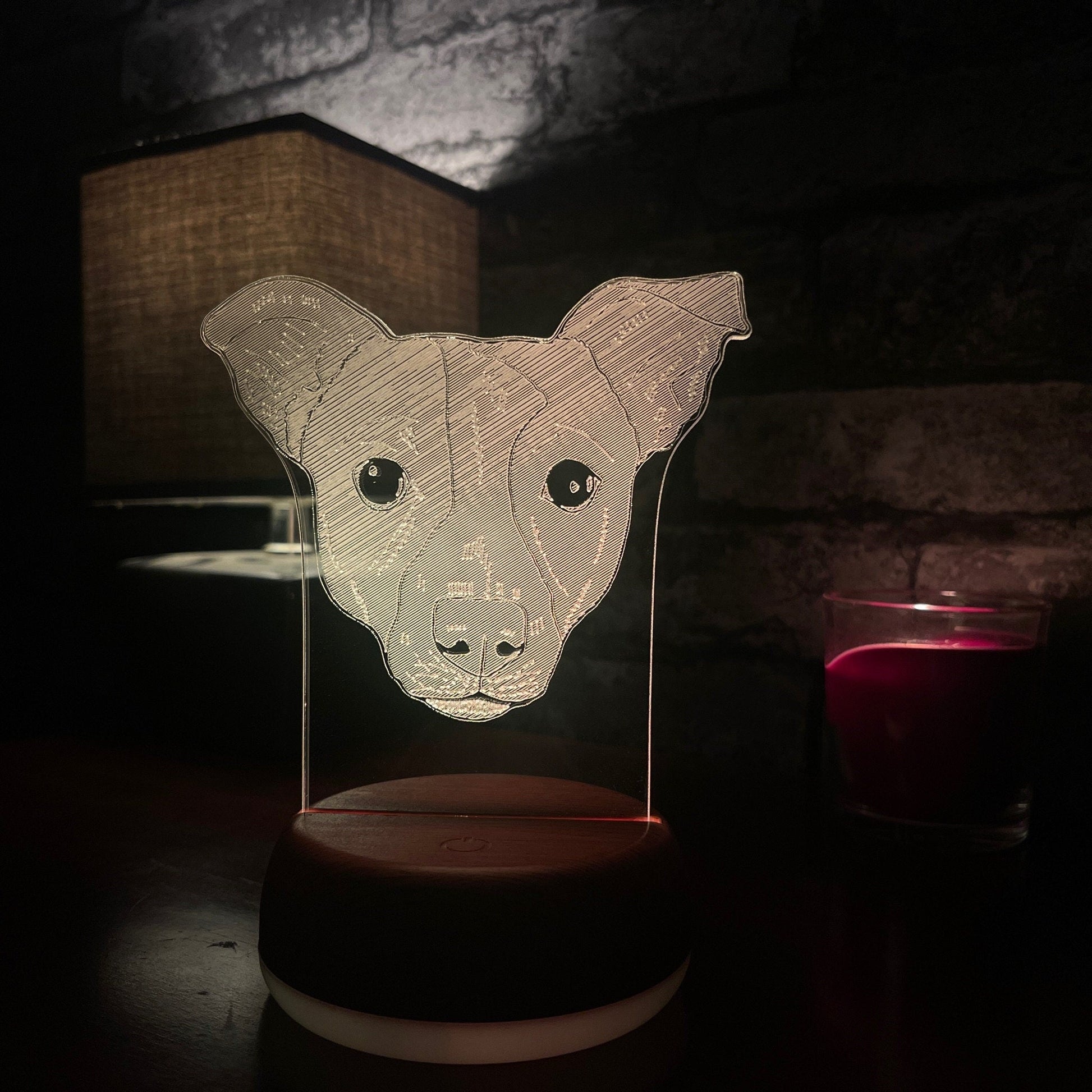 Personalised Jack Russell LED Lamp Night LightÂ  Night Light Stock Car & Banger Toy Tracks