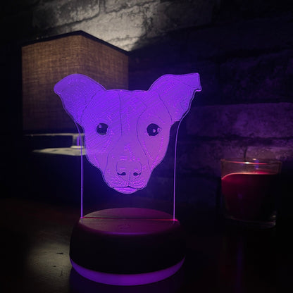 Personalised Jack Russell LED Lamp Night LightÂ  Night Light Stock Car & Banger Toy Tracks