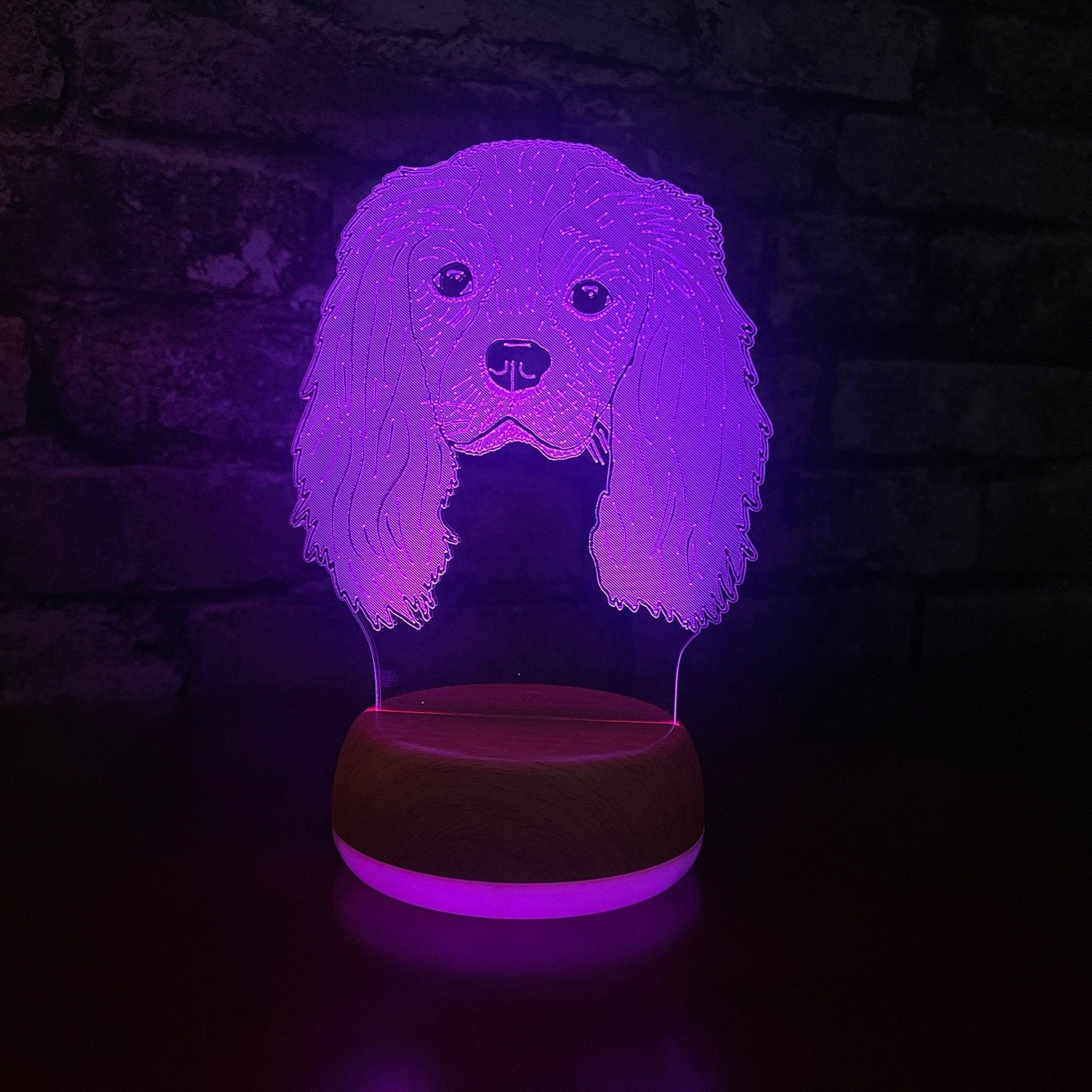 Personalised King Charles Spaniel LED Lamp Night LightÂ  Night Light Stock Car & Banger Toy Tracks
