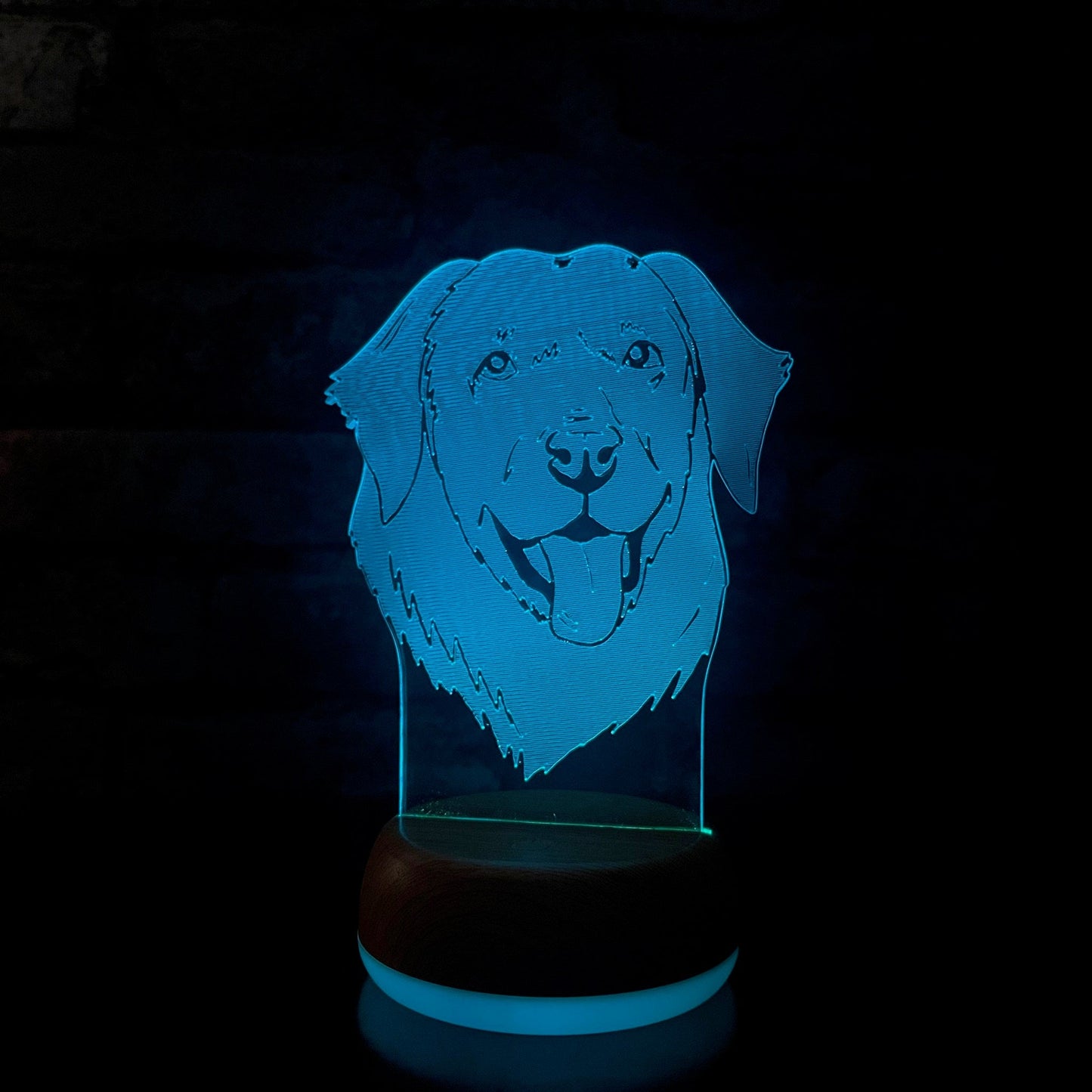 Personalised Labrador LED Lamp Night LightÂ  Night Light Stock Car & Banger Toy Tracks