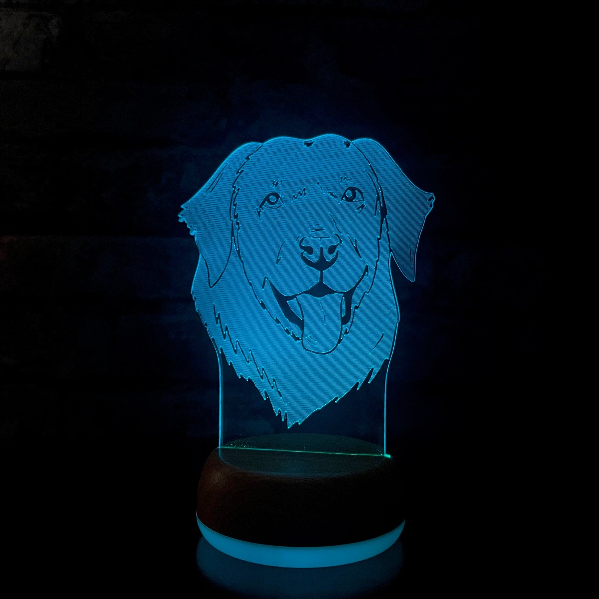 Personalised Labrador LED Lamp Night LightÂ  Night Light Stock Car & Banger Toy Tracks