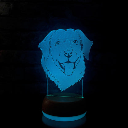 Personalised Labrador LED Lamp Night LightÂ  Night Light Stock Car & Banger Toy Tracks