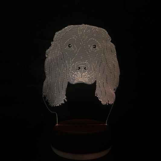 Personalised Springer Spaniel LED Lamp Night LightÂ  Night Light Stock Car & Banger Toy Tracks